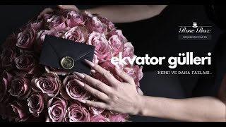 Kutuda Ekvator Gülleri | Kutuda Gül Siparişi ve Tasarımlar
