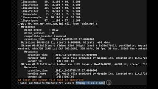 FFMPEG Tutorial - Transcoding process -