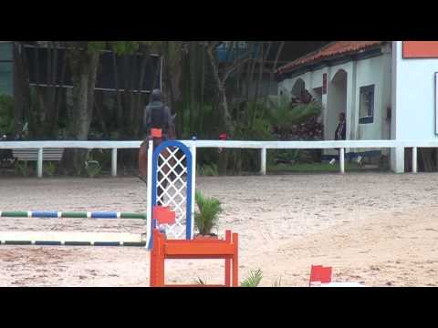 GP e Elite da Mata 05-10-2013 Prova Interna SHB 0,9m
