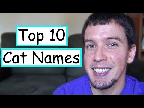 The Top 10 Cat Names in the United States!