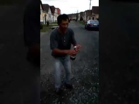 veata la stejarenii.