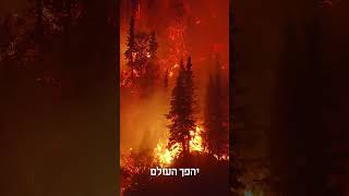 הרבה תחנות למלך המשיח | הרב דניאל זר (הרב דניאל זר) - התמונה מוצגת ישירות מתוך אתר האינטרנט יוטיוב. זכויות היוצרים בתמונה שייכות ליוצרה. קישור קרדיט למקור התוכן נמצא בתוך דף הסרטון