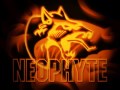 Neophyte - Neuken In De Keuken 
