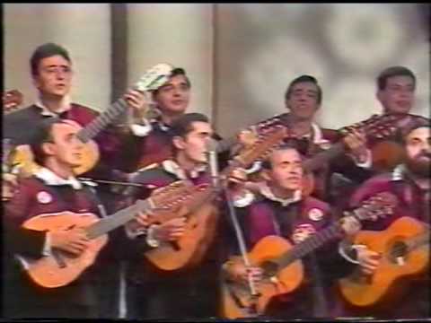 Tuna de Biologia de sevilla