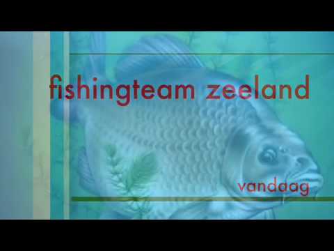 vis sessie vogelwaarde en steenhovers