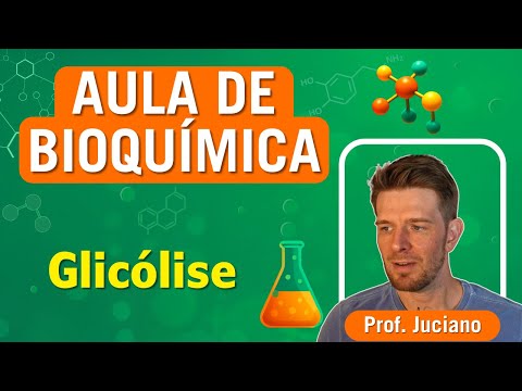 GLYCOLYSIS | Biochemistry Class - Higher Education