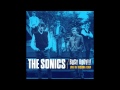 The Witch -- The Sonics, live 1964 