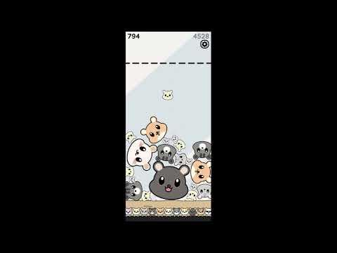 햄스터 키우기(ft.수박게임)