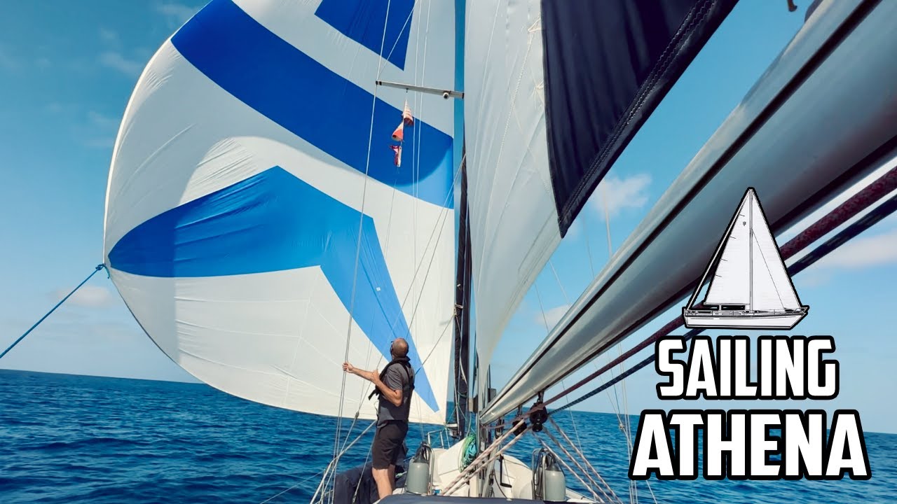 Sail Life - um ano (2023) de navegação em tempo integral em 24 minutos