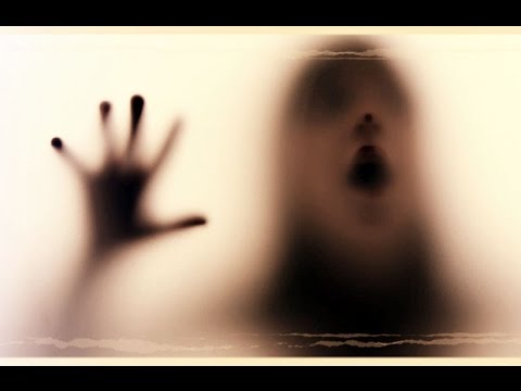 ZEEKtheFREAK : Insane in vain (Official video)