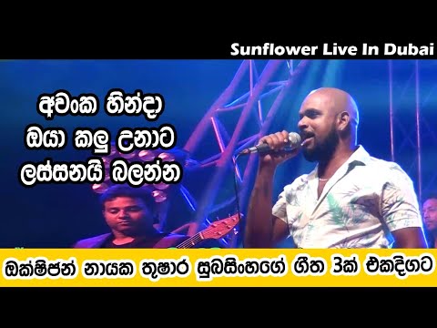 Oxygen Thushara with Sunflower in Dubai | Best Sinhala Songs  | SAMPATH LIVE VIDEOS