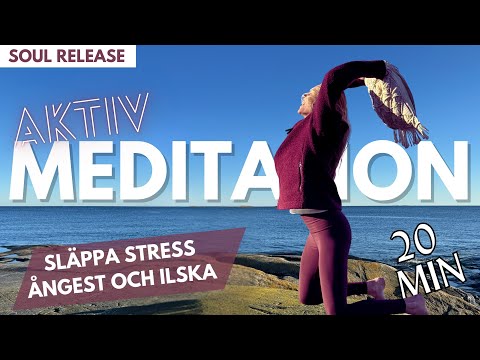 AKTIV MEDITATION  | SLÄPPA STRESS, ÅNGEST & ILSKA | SOUL RELEASE | 20 MIN
