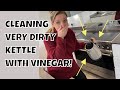 Cleaning your kettle with vinegar - this works! Easy way to descale kettle