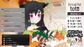 【SHOWROOM】totoฅ•ω•ฅとある猫カフェ＜ミラー配信＞