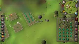 OSRS - Non-interfaced Force Logout(Infinite prayer/Potion boost-effect duration)