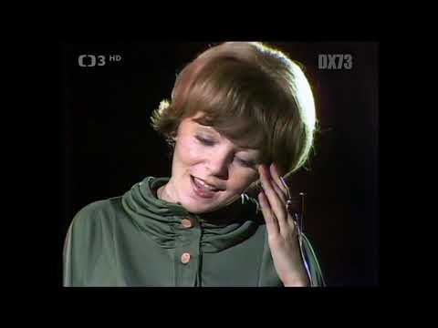 Hana Zagorová - Byl to víc než přítel můj