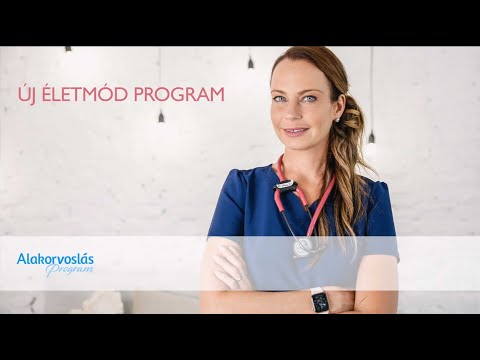 A program bemutatása