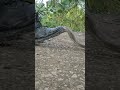 Indian Army V S Snake Indian Army Army Love Shorts