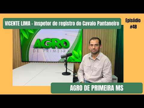 Símbolo do Pantanal, cavalo pantaneiro une tradição, mercado e turismo