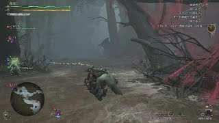 Monster Hunter Wilds_ラバラバリナ