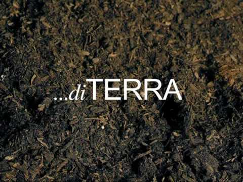 Antonella Maisto il nuovo album ...di TERRA