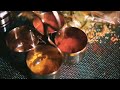 Aai Bhavani Whatsapp Status Lallati Bhandar