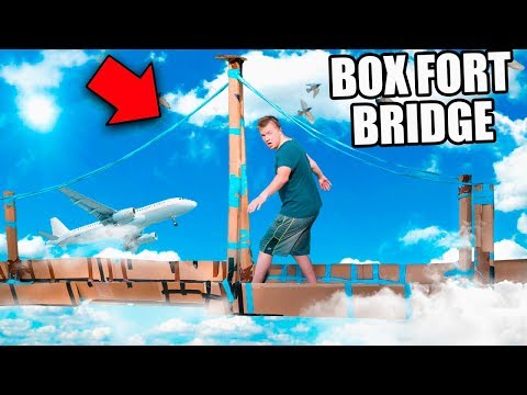 BOX FORT BRIDGE CHALLENGE!! 📦 Video