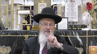 הגאון הרב אברהם יוסף שליט"א דיני והלכות ליל הסדר תשפ"ה (הערוץ של הרב אברהם יוסף) - התמונה מוצגת ישירות מתוך אתר האינטרנט יוטיוב. זכויות היוצרים בתמונה שייכות ליוצרה. קישור קרדיט למקור התוכן נמצא בתוך דף הסרטון