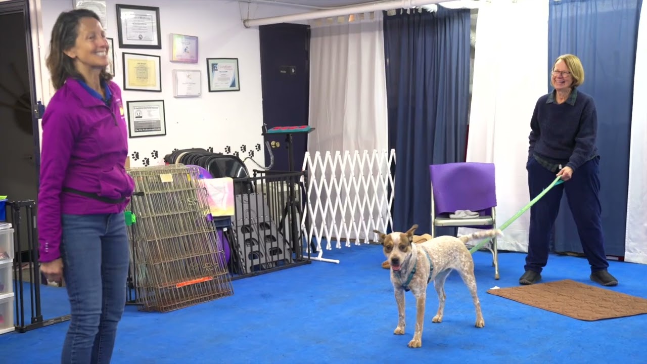 Judy Bernard of Proper Paws Training