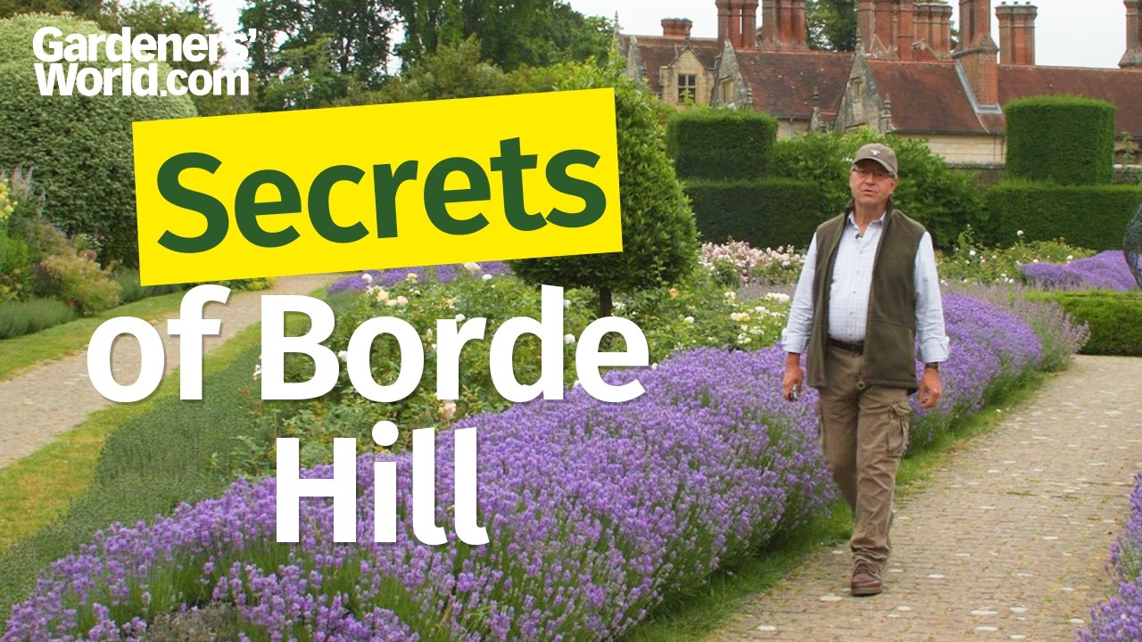 A plantsman’s PARADISE 🌿 Borde Hill Garden Tour