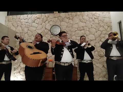 Miniatura de video de Mariachi Playense