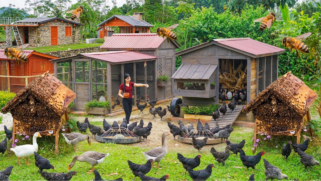 Full Video: 48-Day Building 100% Chicken Coop for Raising H'mong Chickens - Beekeeping Techniques