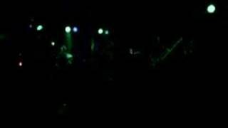 Say Anything - Chia-Like, I Shall Grow - Crocodile Rock