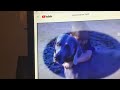 William Wegman Dogs Pfizer PBS