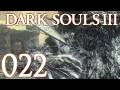 Dark Souls 3 [022] - Ein etwas längerer Kampf