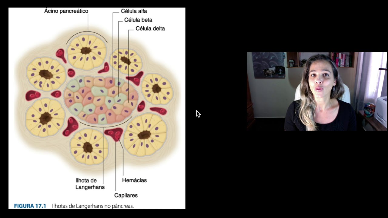 Pâncreas Endócrino