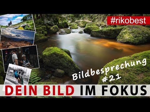 Dein Bild im Fokus #21  Fotografieren lernen durch Bildanalyse & Bildbesprechung - Fotokurs