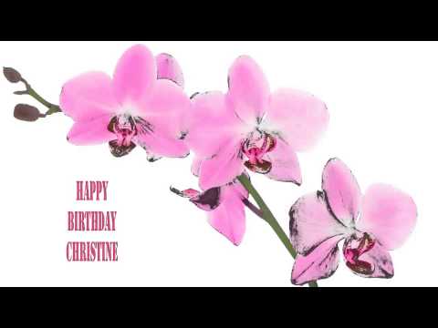 Christine   Flowers & Flores - Happy Birthday