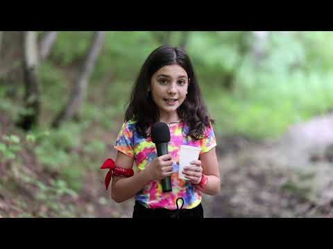 În cât timp se descompun deșeurile - Alexandra Mincu