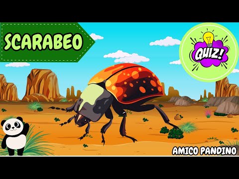 Animali per bambini video - LO SCARABEO - Impara gli animali con Pandino - quiz animali - INSETTI