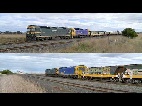 7736V Pacific National Grain Train With G523 & G540 (22/6/2024) - PoathTV Australian Railways