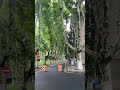 channel