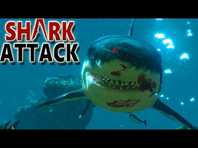 Shark Attack Deathmatch 2