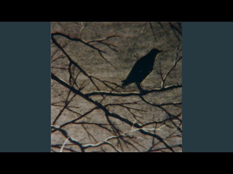 Enrustido De Fúria - Magnólia