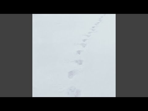 Замело до серця шлях