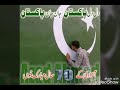 Dil Dil Pakistian 14august Video Made By Me