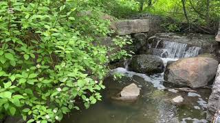 Relax, Sleep, Study, Work with the Energizing Sounds & the Beauty of a Pure Mountain Flowing Stream
