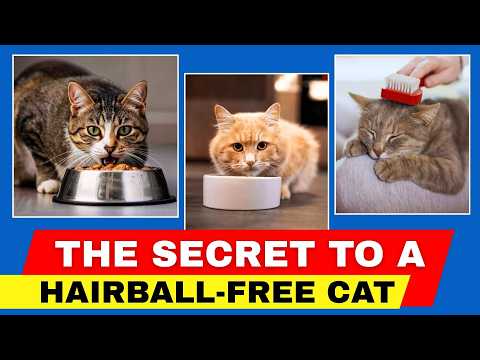 5 Ways to Stop Hairballs in Cats Naturally