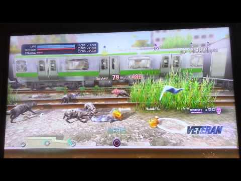 Tokyo jungle Pomeranian vs raptors pom wins