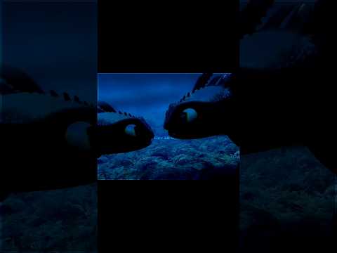 𝙒𝙝𝙖𝙩 𝙞𝙛.... 𝘢𝘯𝘰𝘵𝘩𝘦𝘳 𝘕𝘪𝘨𝘩𝘵 𝘍𝘶𝘳𝘺 ?